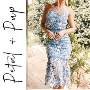 Petal & Pup Neomi One Shoulder Midi Dress